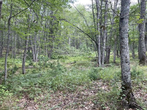 Land, Arrowsic, ME