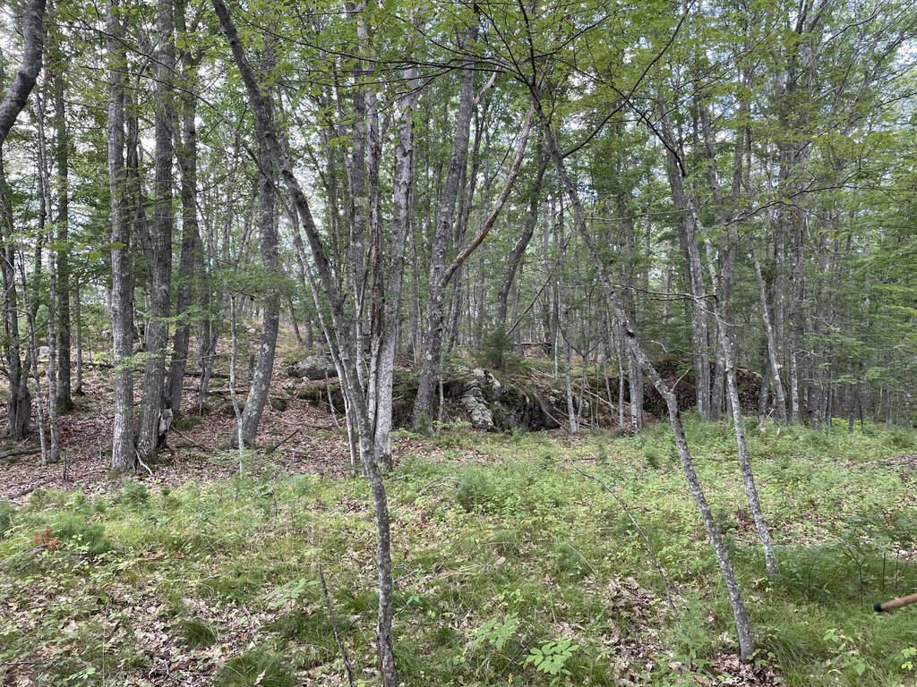 Picture 3
