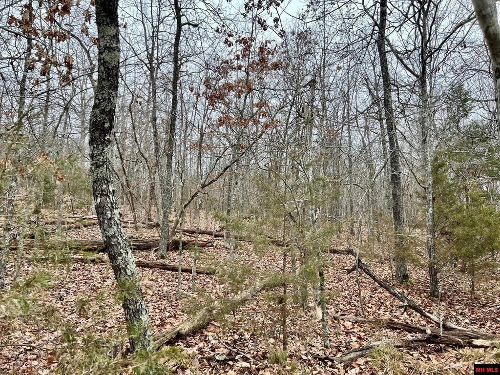Picture 3