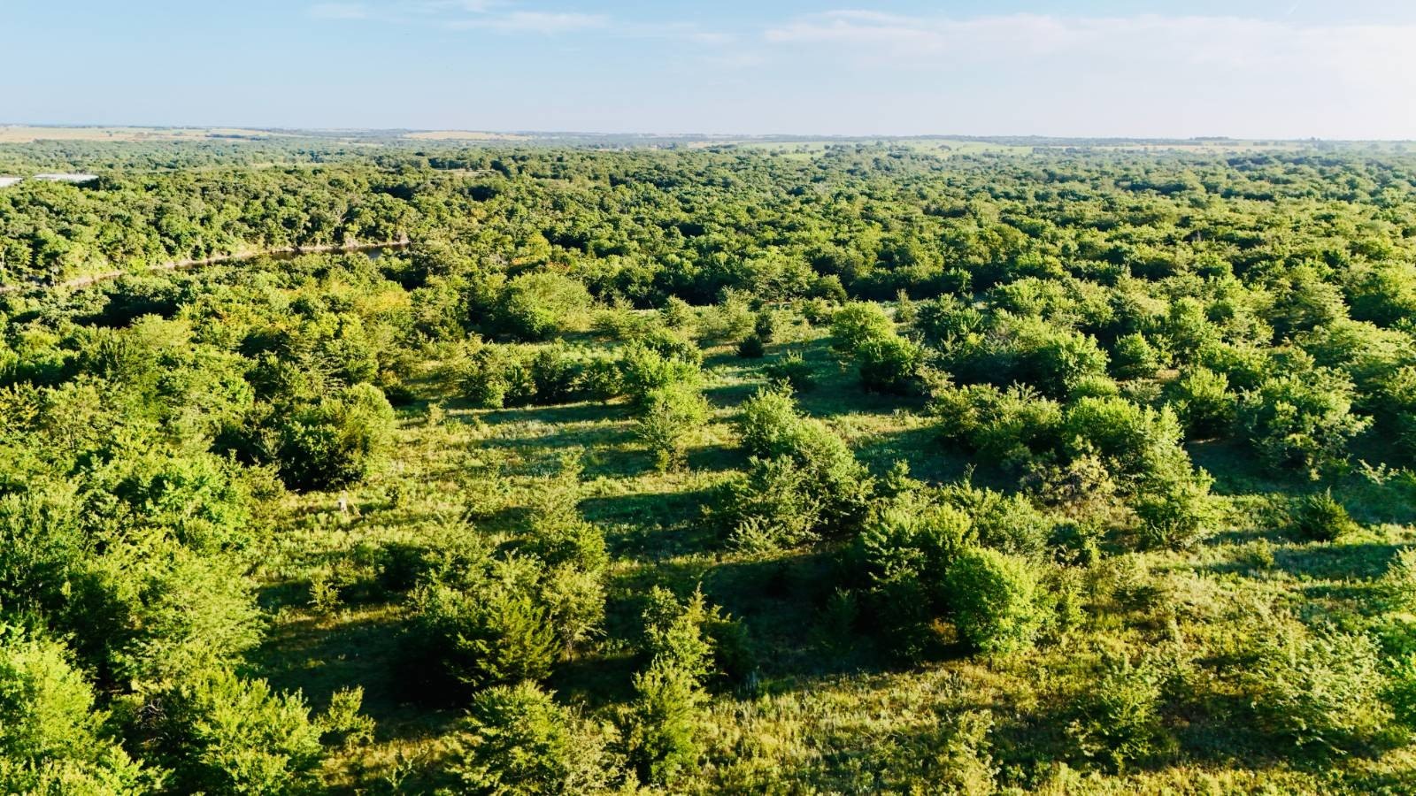 Kingston, OK Vacant Land Opportunity