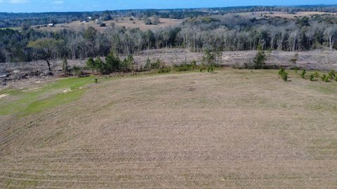 Land Parcel in Ozark, AL