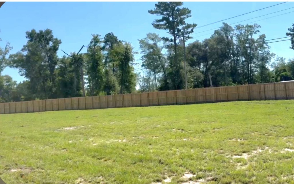 Picture 12