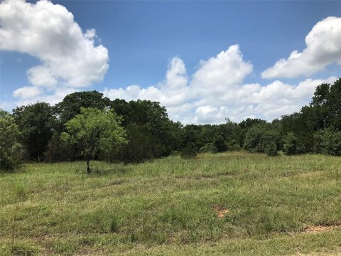Treed Lot Near Lake Palo