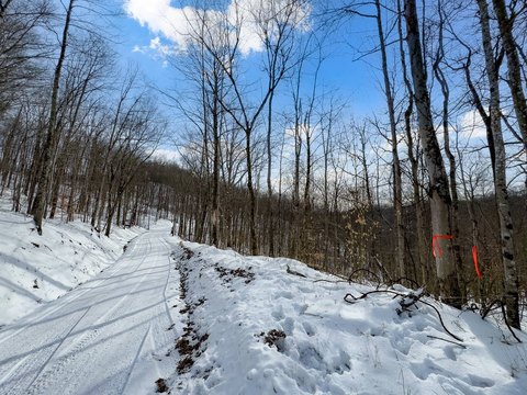 Wooded Hunting and Recreation Land