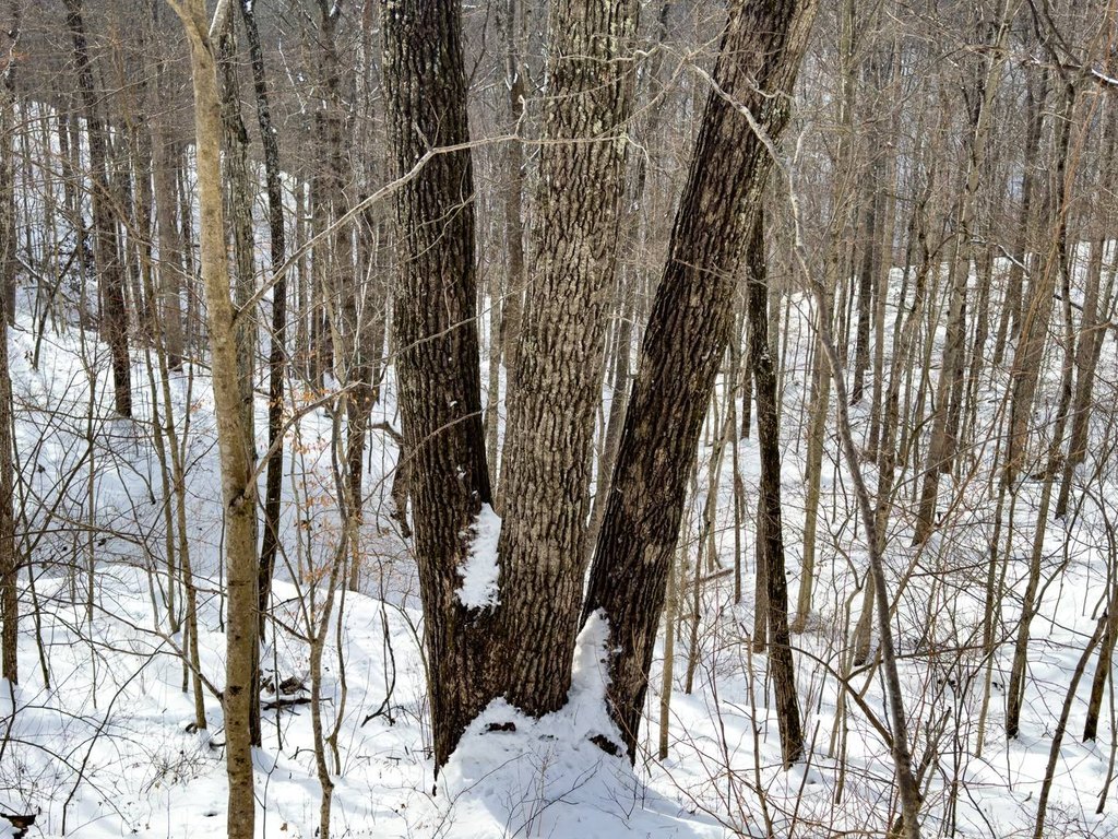 Picture 3