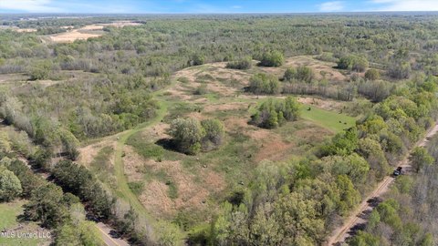 Tate County Land Investment Opportunity