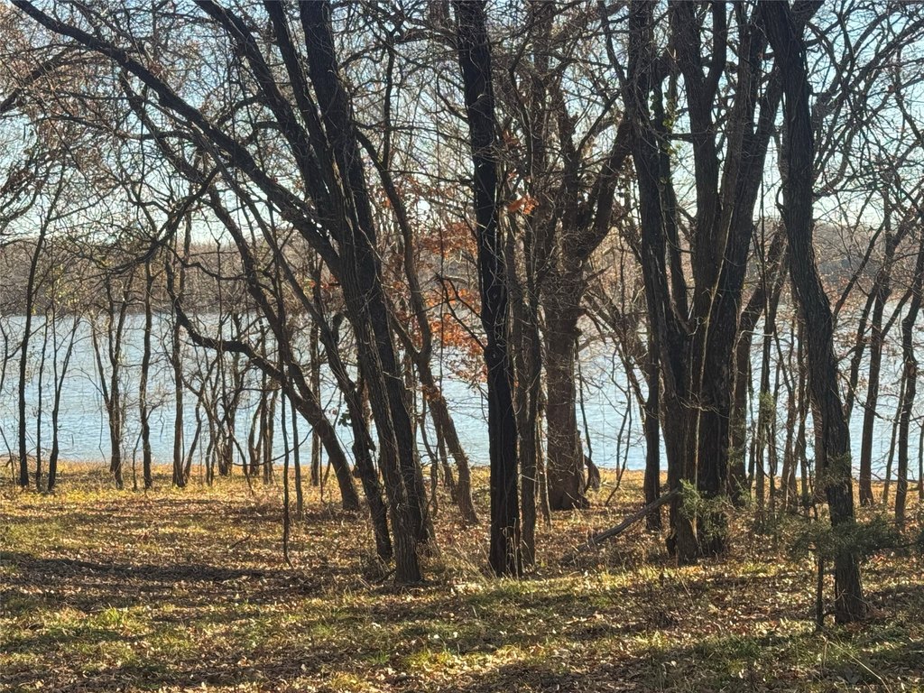 Picture 5