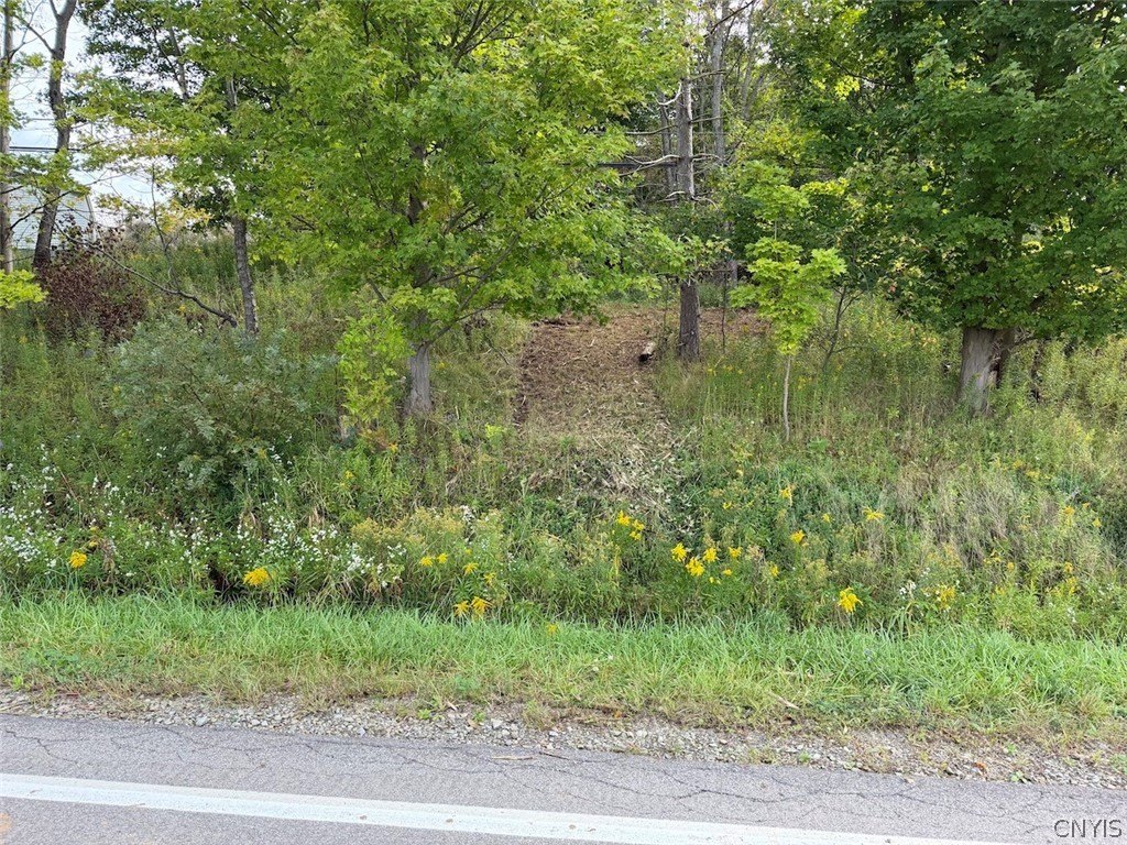 Picture 31