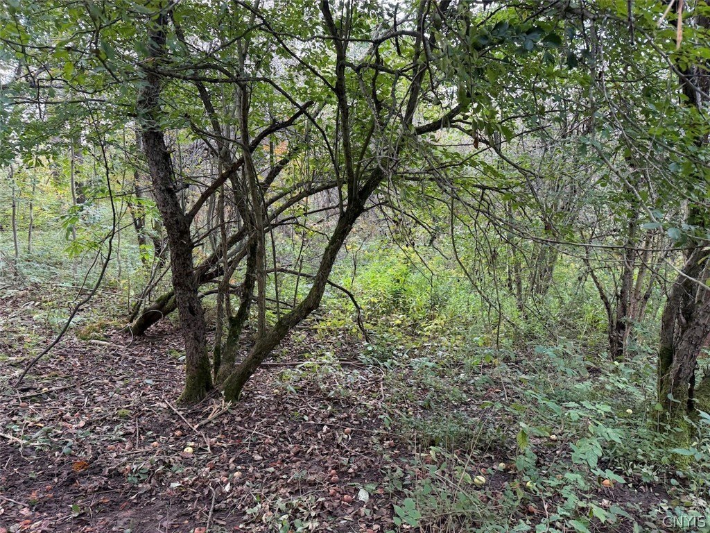 Picture 16
