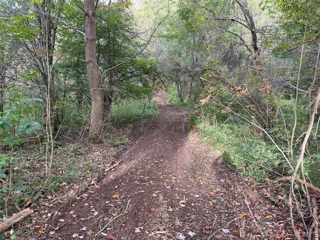 Picture 19