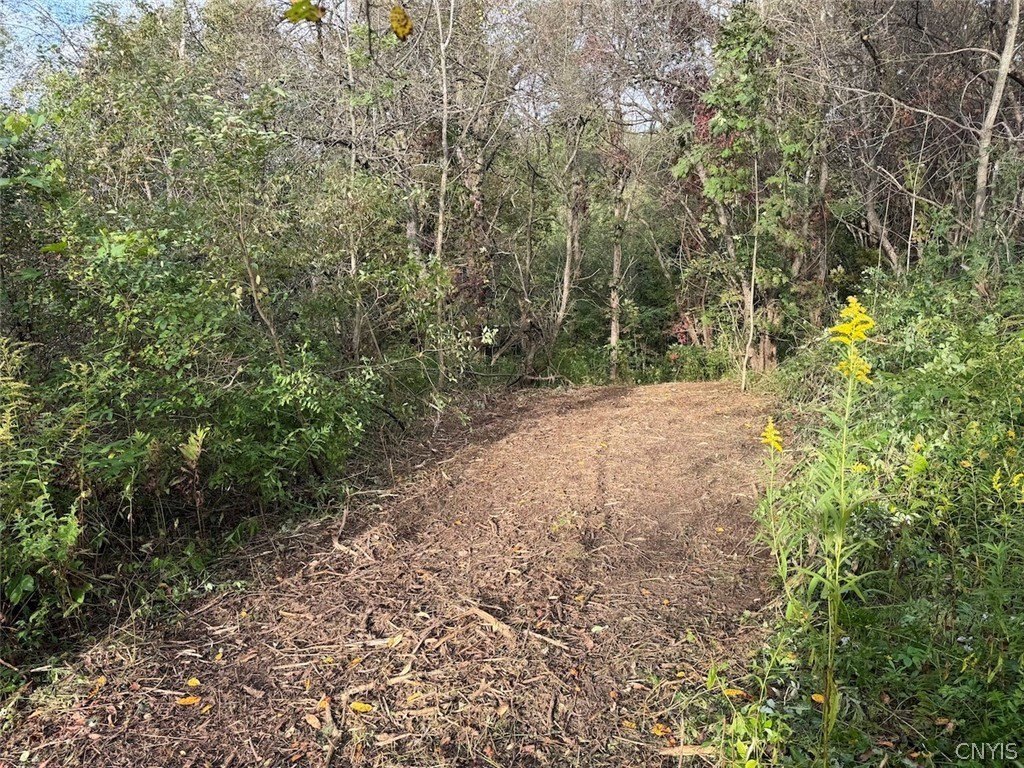 Picture 20