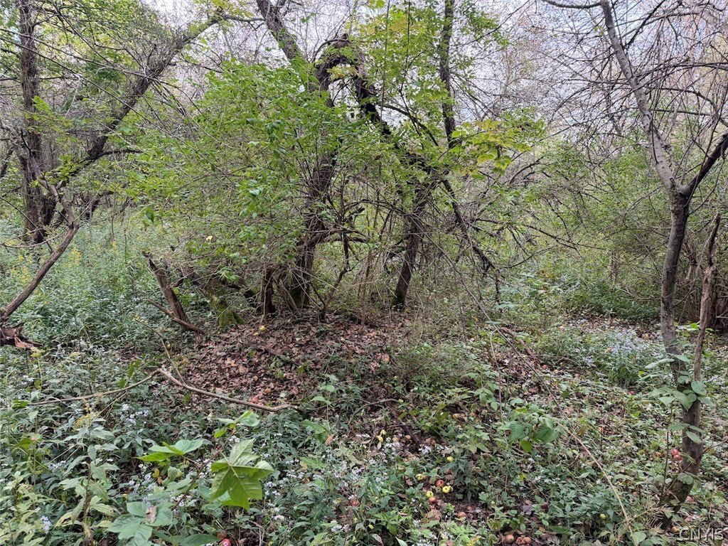 Picture 15