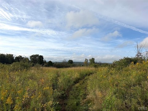 Land, South Dayton, NY