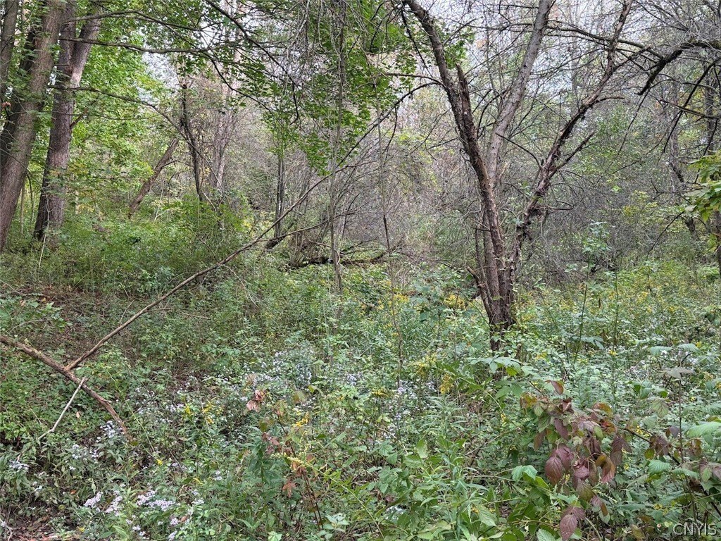 Picture 30