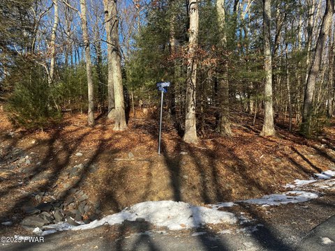 Residential Land in Dingmans Ferry