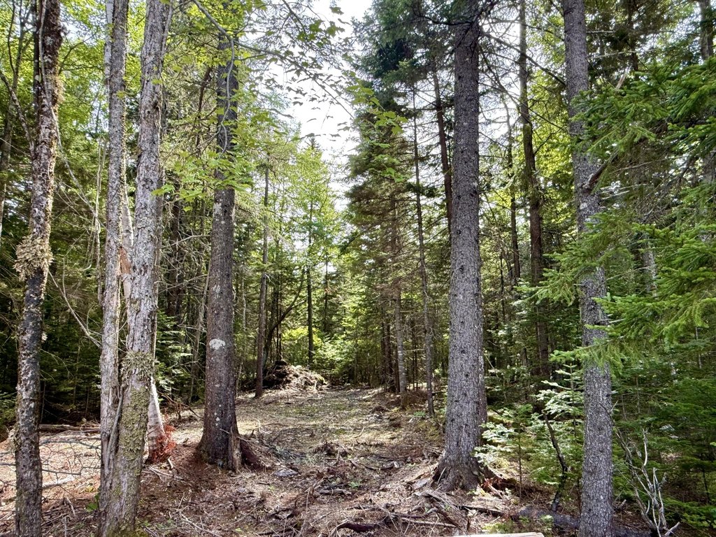 Picture 31