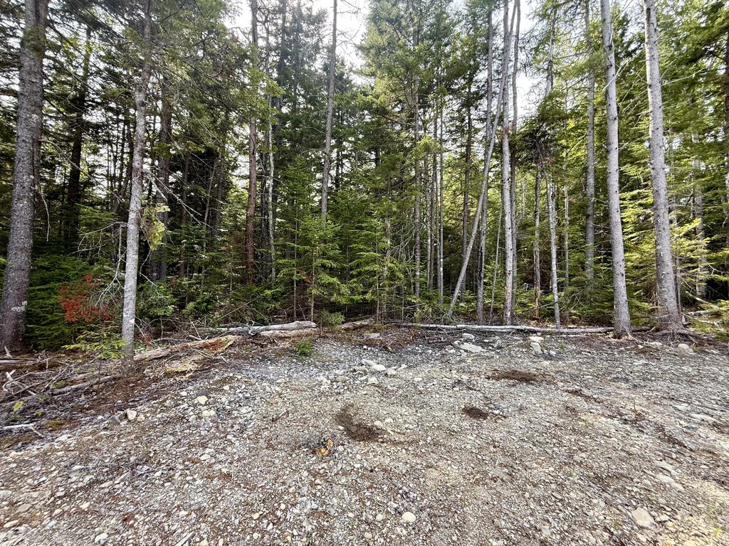 Picture 33