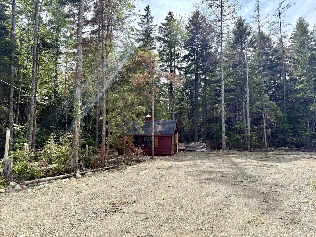 Picture 3