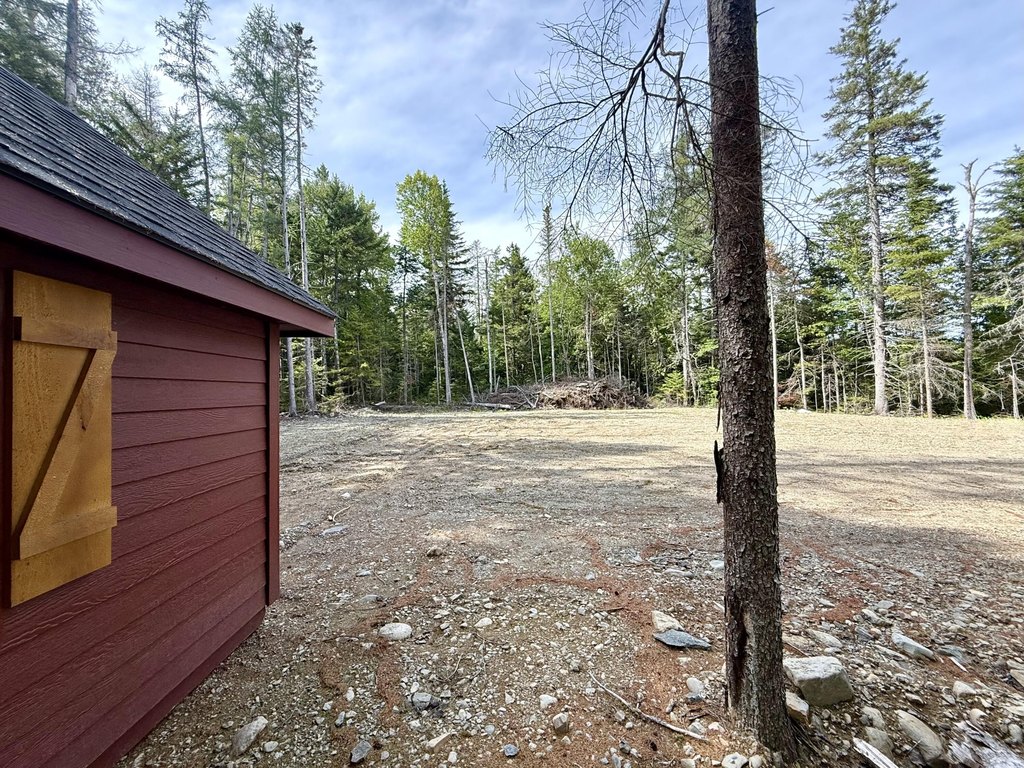 Picture 20