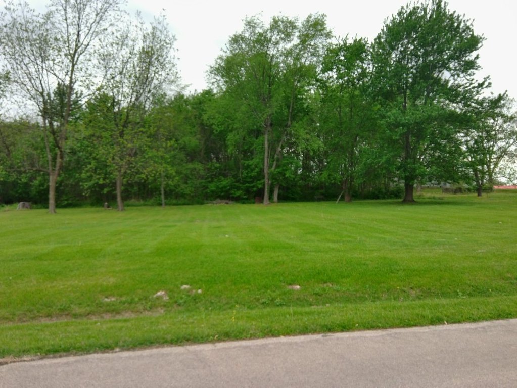 Picture 2