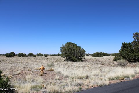 Picture of Residential land & home lots at Del Rio Dr 7700, Show Low, AZ