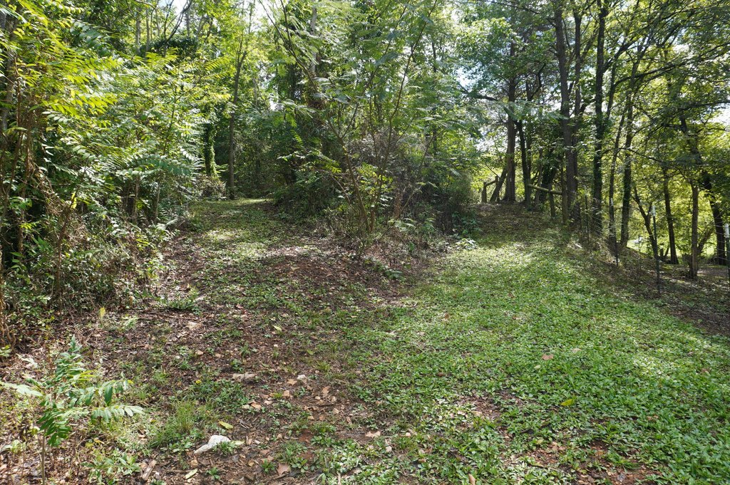 Picture 23