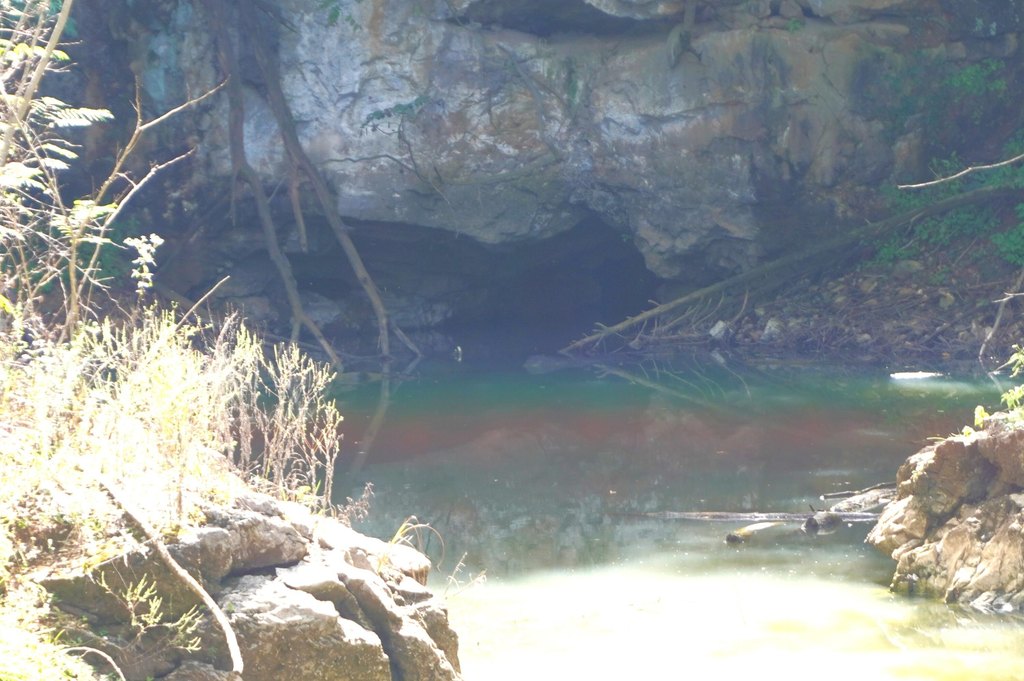Picture 12