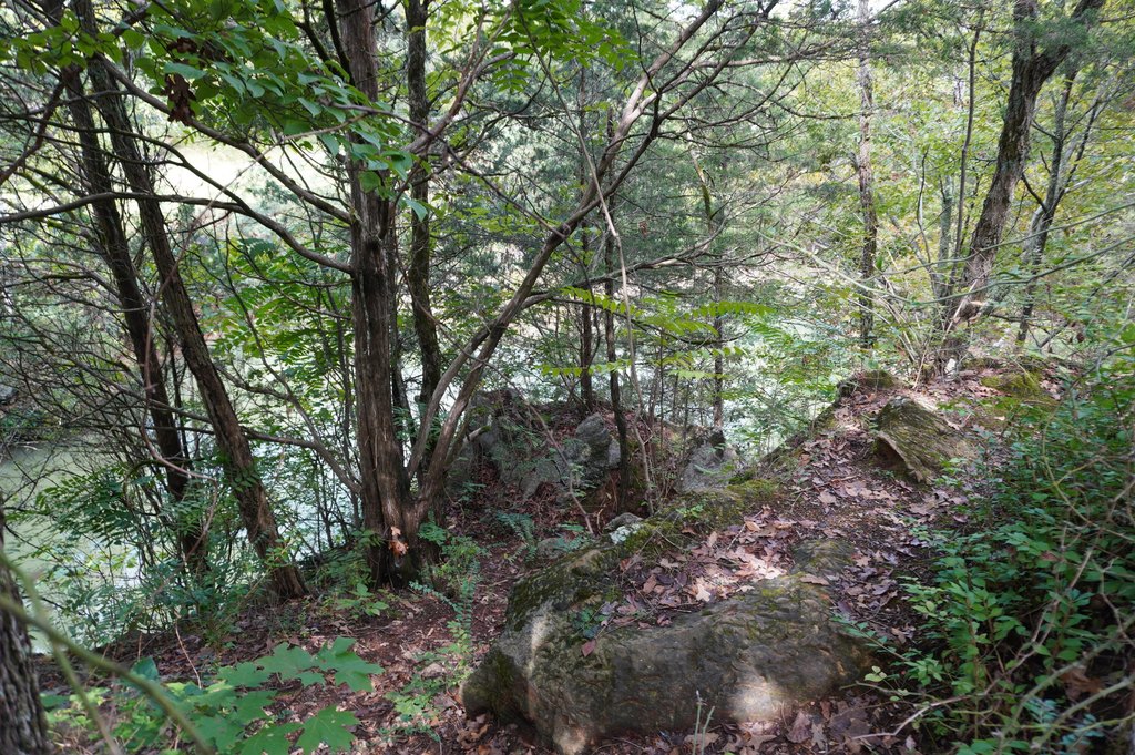 Picture 27