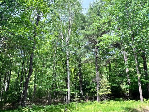 LAND - Eagle River, WI