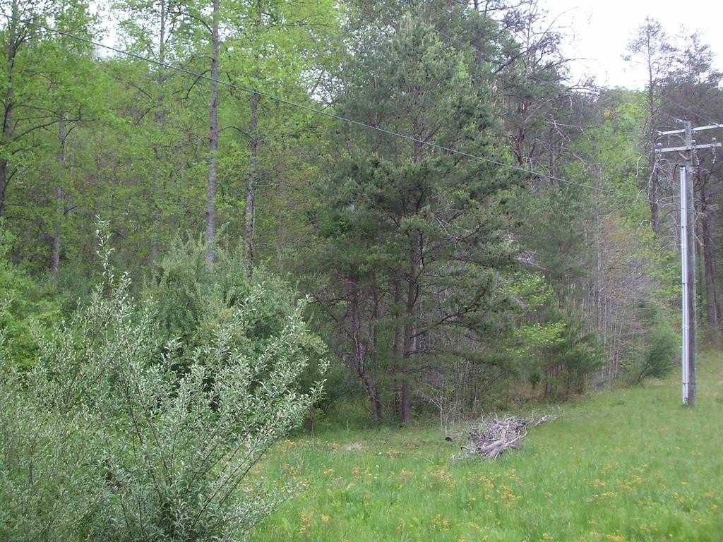Undeveloped Residential Land For Sale