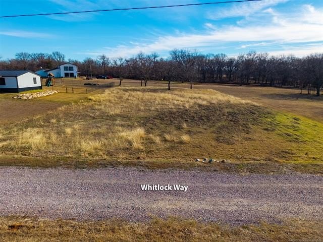 Picture 11