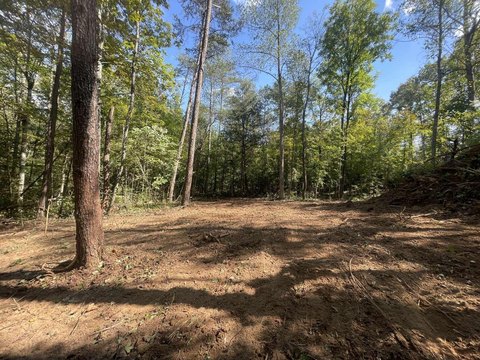 Scenic Land Near Lake Cumberland
