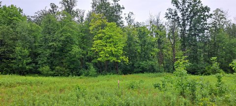 Land, Stone Lake, WI