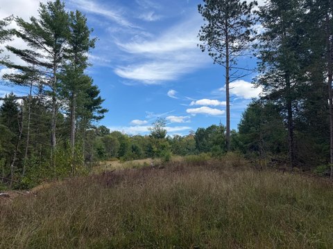 Land, Minocqua, WI