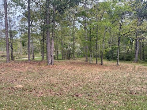 Residential Land in Kinsey, AL