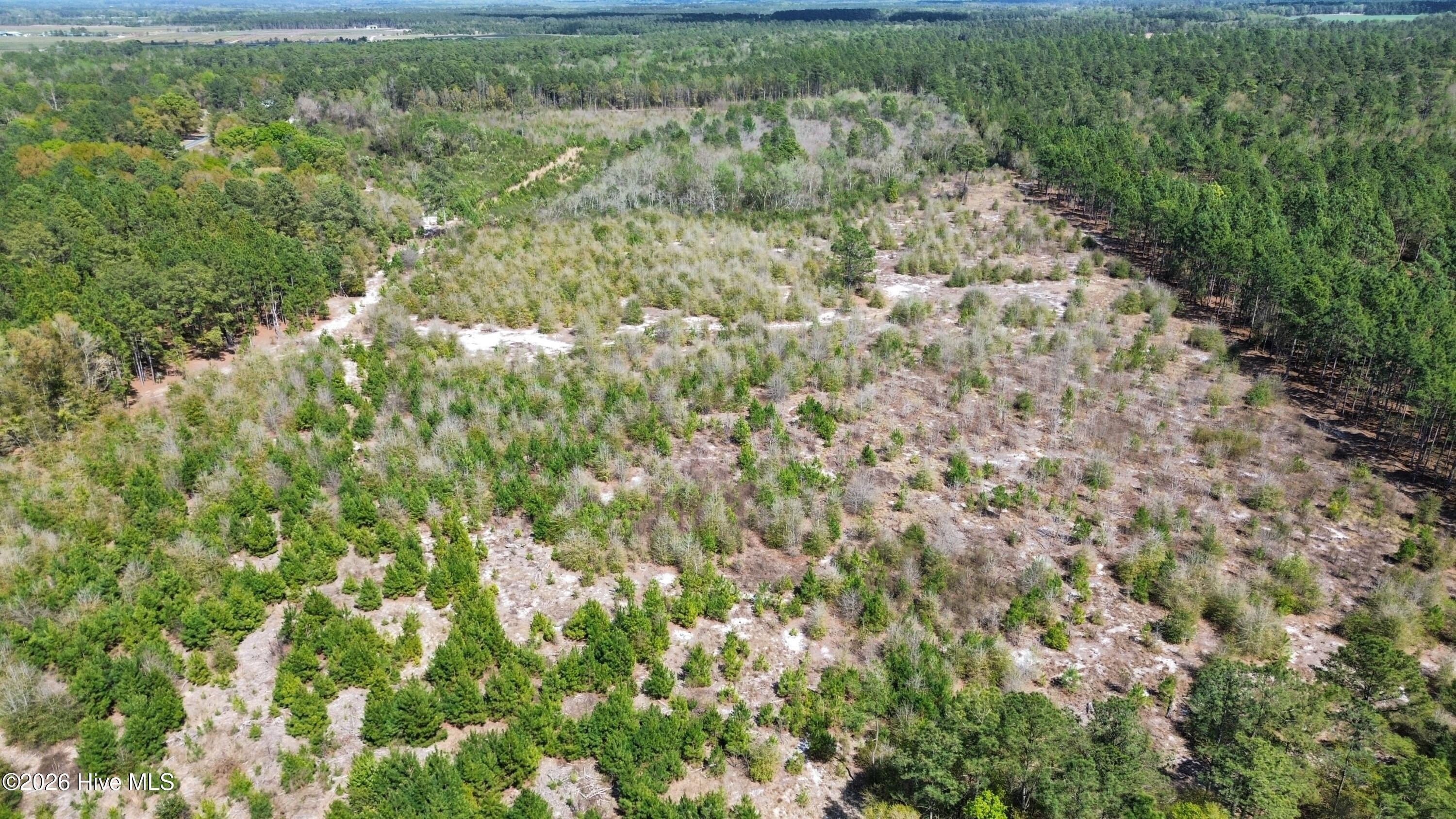 46 Acres in Sampson County