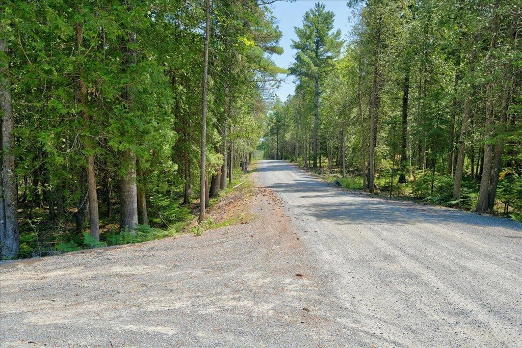 Picture 35