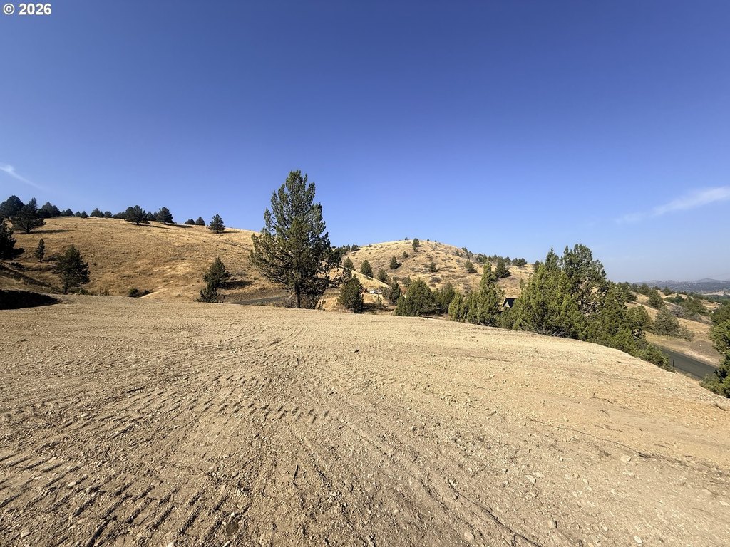 Picture 8