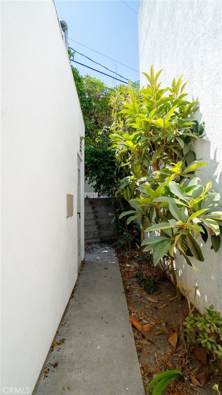 Picture 43