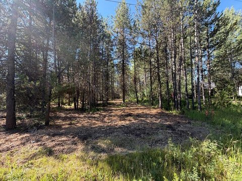 Level Recreational Land Lot