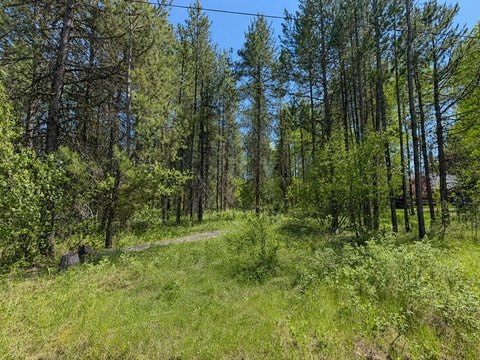 Level Recreational Land Lot