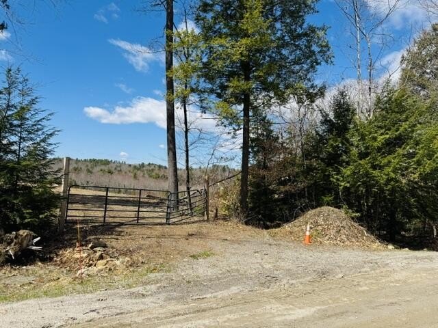 Picture 6