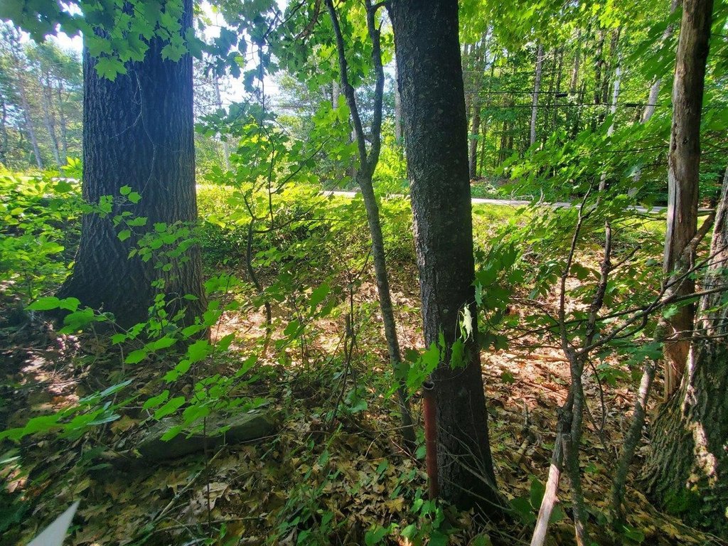 Picture 15