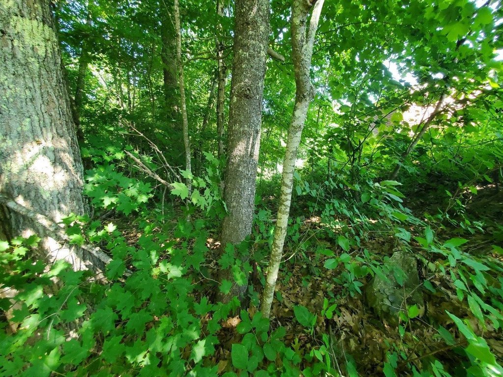 Picture 9