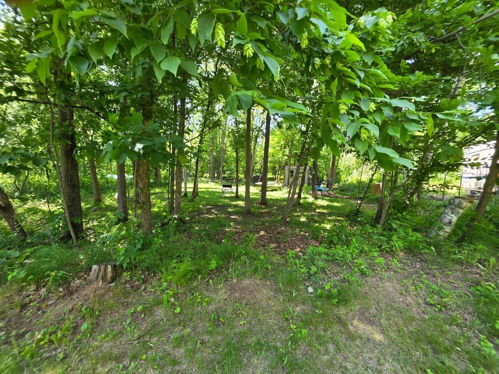 Picture 28