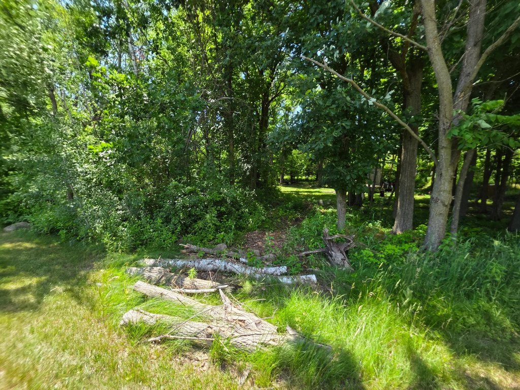 Picture 29
