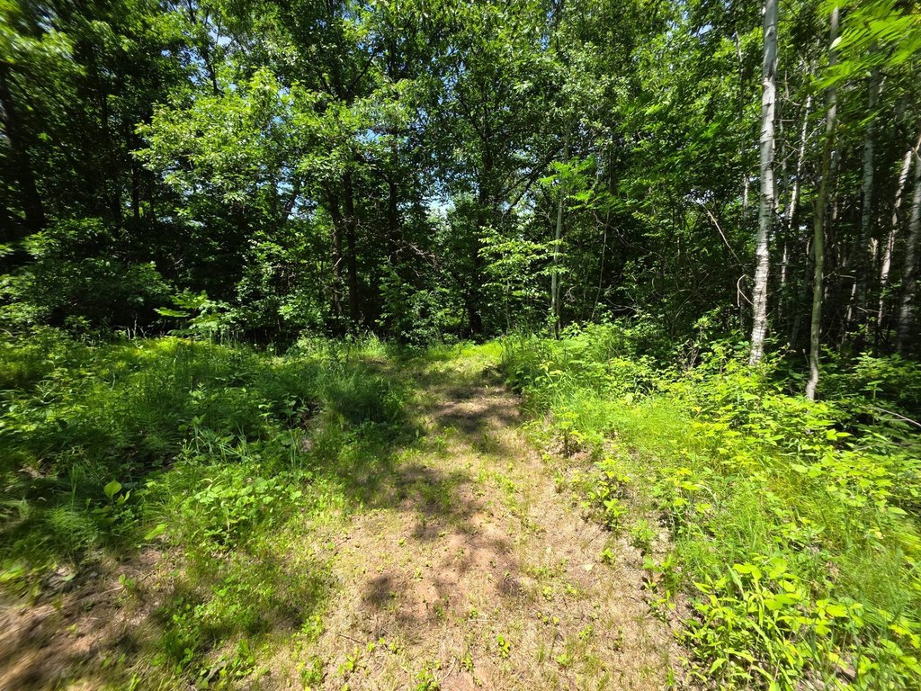 Picture 24