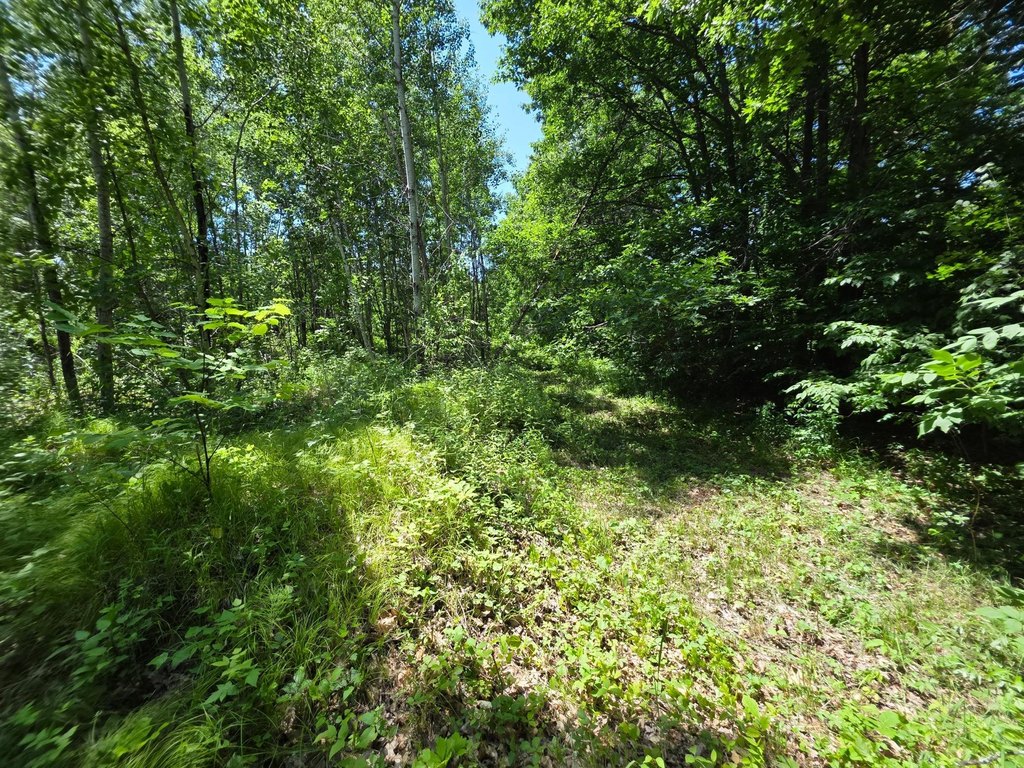 Picture 26