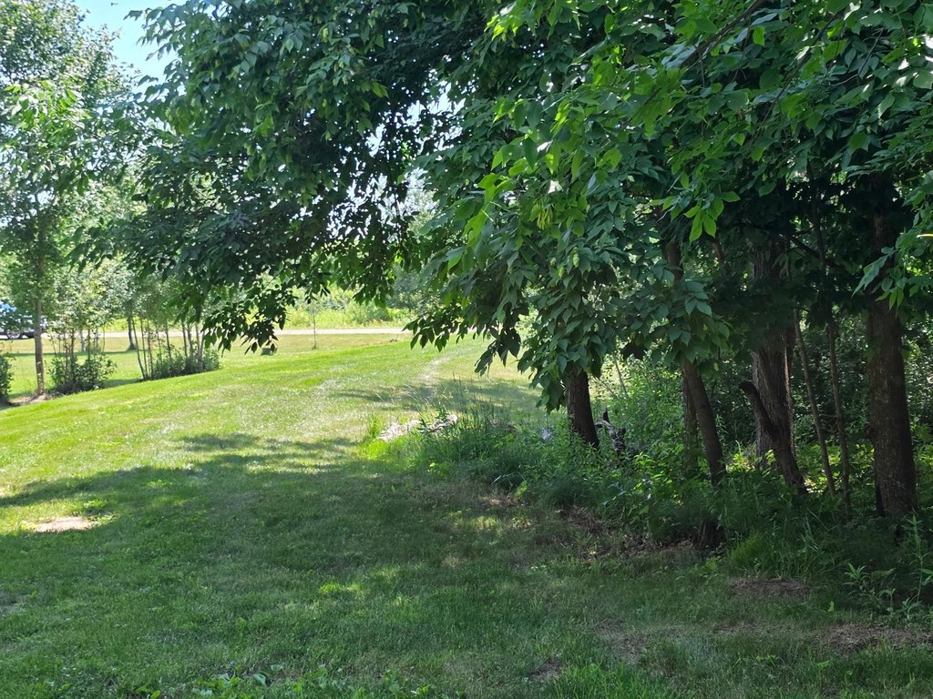 Picture 22