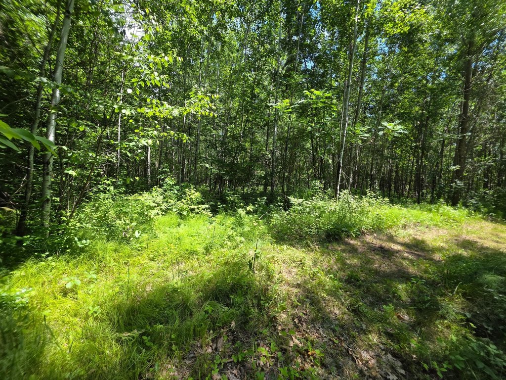 Picture 25